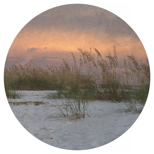 Sandrine Hermand-Grisel - Sea Sketches