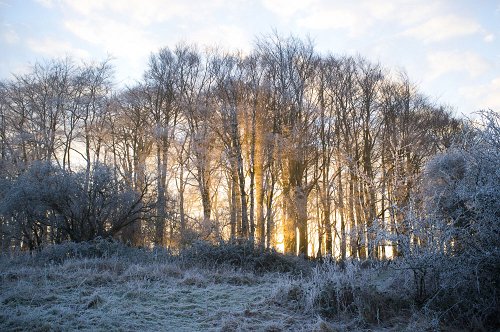 Simon Bray - December 30th 8.01am