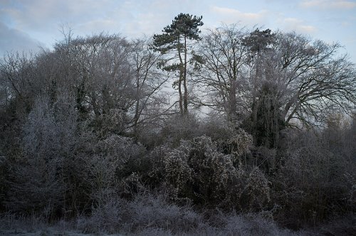 Simon Bray - December 30th 8.28am