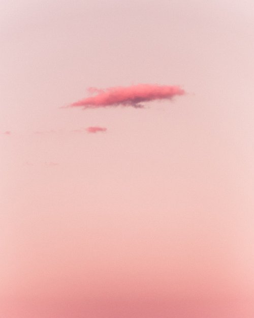 Wyatt Brazil - Rollin