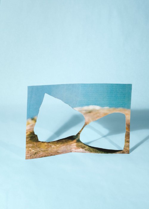 Benjamin Davis - Untitled Shell Illustration #12