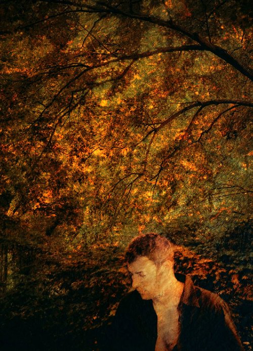 Bill Travis - untitled