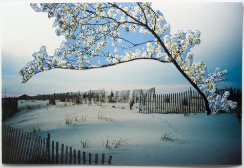 Diana Pruss - Dunes