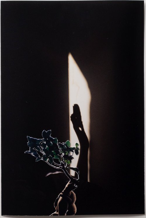 Diana Pruss - Twist