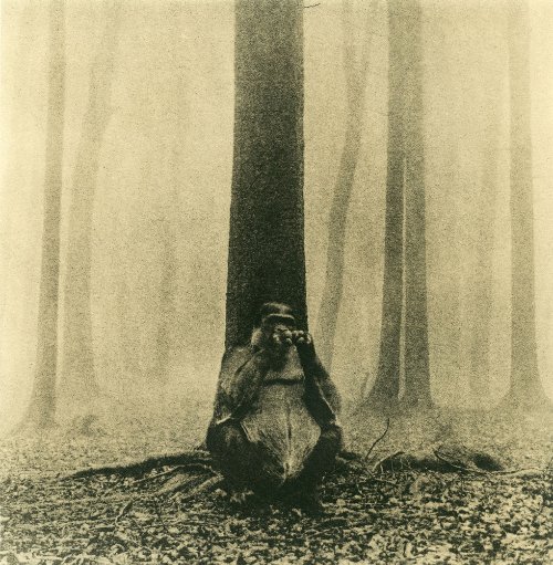 Frank Machalowski - tierwald #29