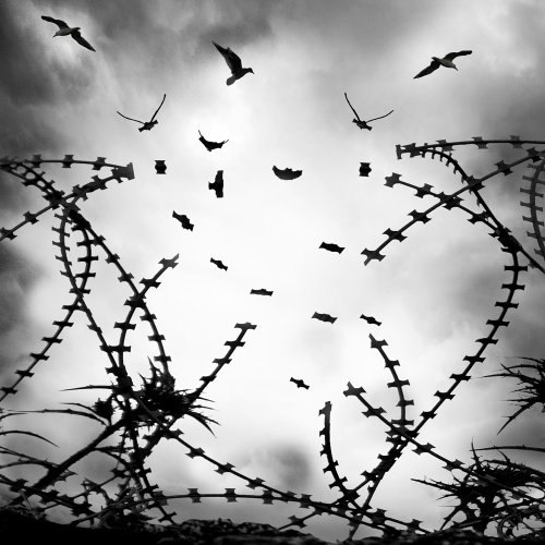 George Digalakis - Freedom