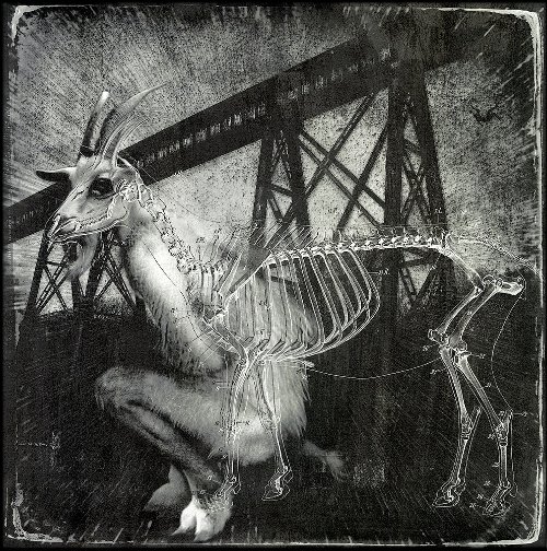 Greg Banks - The Precautionary Tale of Goatman, 2016 
