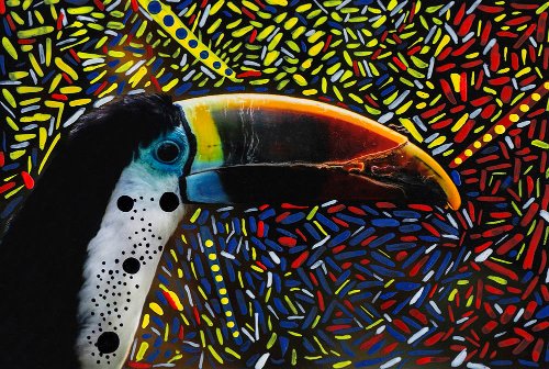 Jelena Jankovic - Birds