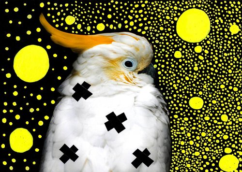 Jelena Jankovic - Birds