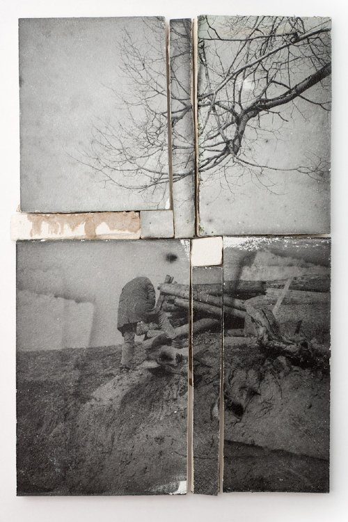 Katja Goljat - Timber Cutter