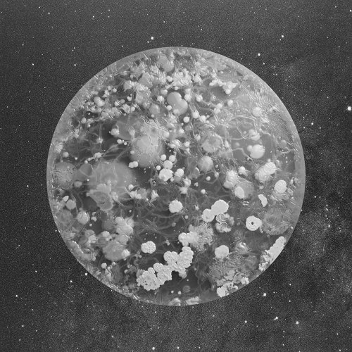 Marco Castelli - Undershoe, from the series A Micro Odyssey