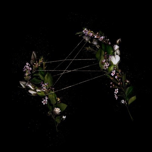Meggan Joy  - Cat's Cradle