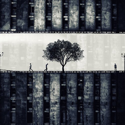 Milad Safabakhsh - Paradise lost