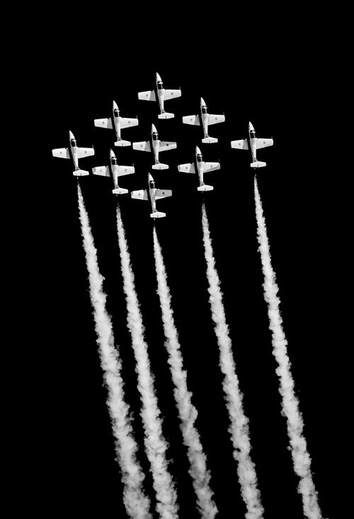 Carrie Hampton - Snowbirds