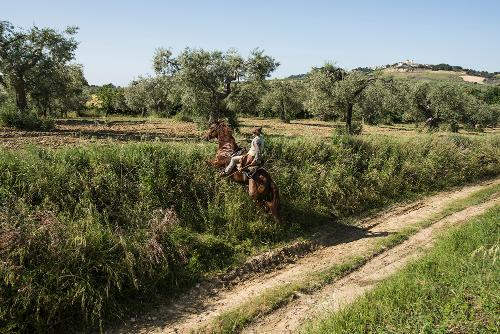 Christopher Neglia - From the Series "Inheritors of the Trail: Transhumance in Italy from the Tavoliere to the Molisan Mountains" 