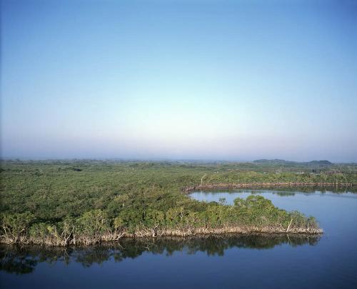 FL Bay Everglades