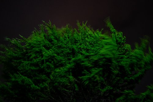 NoelFaucett-8