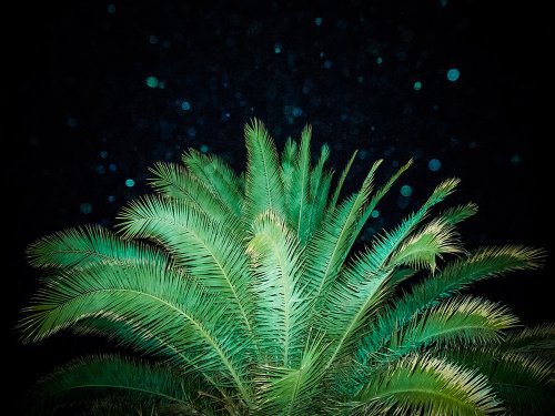 Out of the Blue