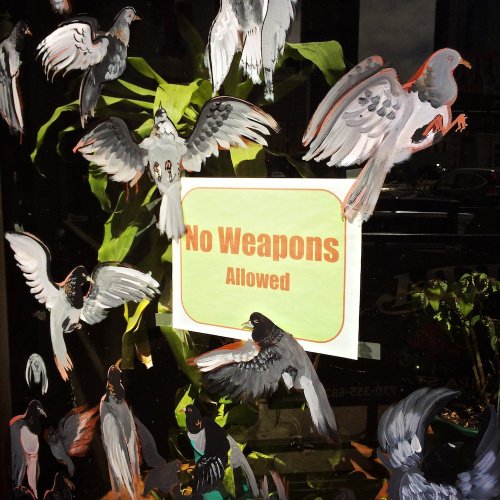 No Weapons Allowed